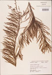 000003501-thumbnail.jpg