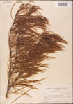 000003502-thumbnail.jpg