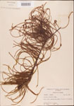 000003503-thumbnail.jpg