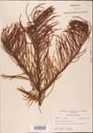 000003507-thumbnail.jpg
