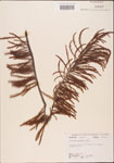 000003510-thumbnail.jpg