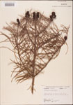 000003512-thumbnail.jpg
