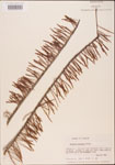 000003513-thumbnail.jpg