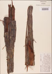 000003518-thumbnail.jpg