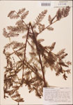 000003519-thumbnail.jpg
