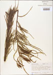 000003553-thumbnail.jpg