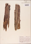 000003559-thumbnail.jpg
