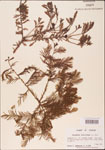 000003560-thumbnail.jpg