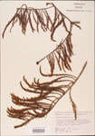 000003566-thumbnail.jpg