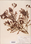 000003567-thumbnail.jpg