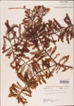 000003568-thumbnail.jpg