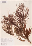 000003573-thumbnail.jpg