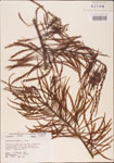 000003574-thumbnail.jpg