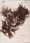 000003575-thumbnail.jpg