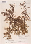 000003576-thumbnail.jpg