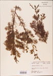 000003579-thumbnail.jpg