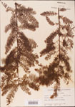 000003585-thumbnail.jpg