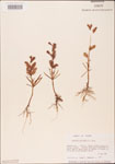 000003597-thumbnail.jpg