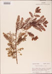 000003598-thumbnail.jpg
