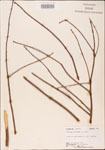 000003601-thumbnail.jpg
