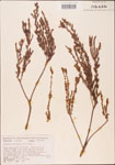 000003604-thumbnail.jpg