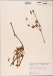000003606-thumbnail.jpg