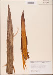 000003607-thumbnail.jpg