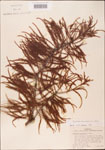 000003614-thumbnail.jpg