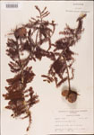 000003615-thumbnail.jpg