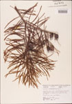 000003619-thumbnail.jpg