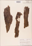 000003624-thumbnail.jpg