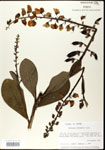 000003652-thumbnail.jpg