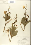 000003656-thumbnail.jpg