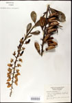 000003659-thumbnail.jpg