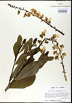 000003668-thumbnail.jpg