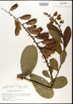 000003669-thumbnail.jpg