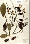 000003670-thumbnail.jpg