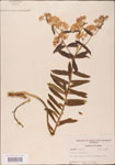 000003677-thumbnail.jpg