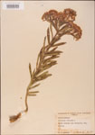 000003679-thumbnail.jpg