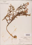 000003690-thumbnail.jpg