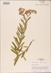 000003692-thumbnail.jpg