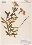 000003693-thumbnail.jpg
