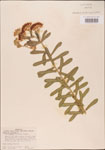 000003702-thumbnail.jpg