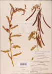 000003705-thumbnail.jpg