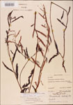 000003706-thumbnail.jpg