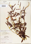000003707-thumbnail.jpg