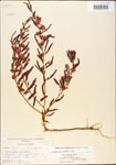 000003712-thumbnail.jpg