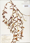 000003714-thumbnail.jpg