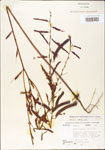 000003715-thumbnail.jpg