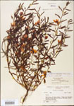 000003716-thumbnail.jpg